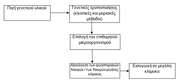 LO3 1 GR